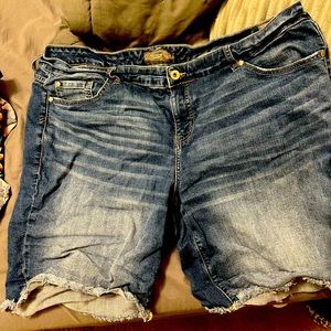 Torrid Bermuda Shorts